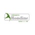Rondine