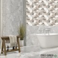 Фаянс Asel Decor 30x60