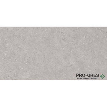 Фаянс Dual Grey 30×60 см