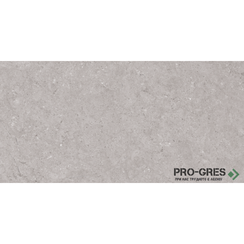 Фаянс Dual Grey 30×60 см