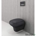 Конзолна тоалетна чиния с капак, антрацит мат, Fenice, Bocchi 1166 020 0129 / A0327 020