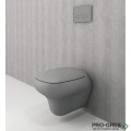 Конзолна тоалетна чиния с капак, сив мат,Fenice, Bocchi 1166 006 0129 / A0327 006
