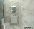 Проект Gold&Lixium 60x120