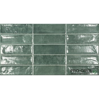 Фаянс Pool Green Brillo 31.6×60 см