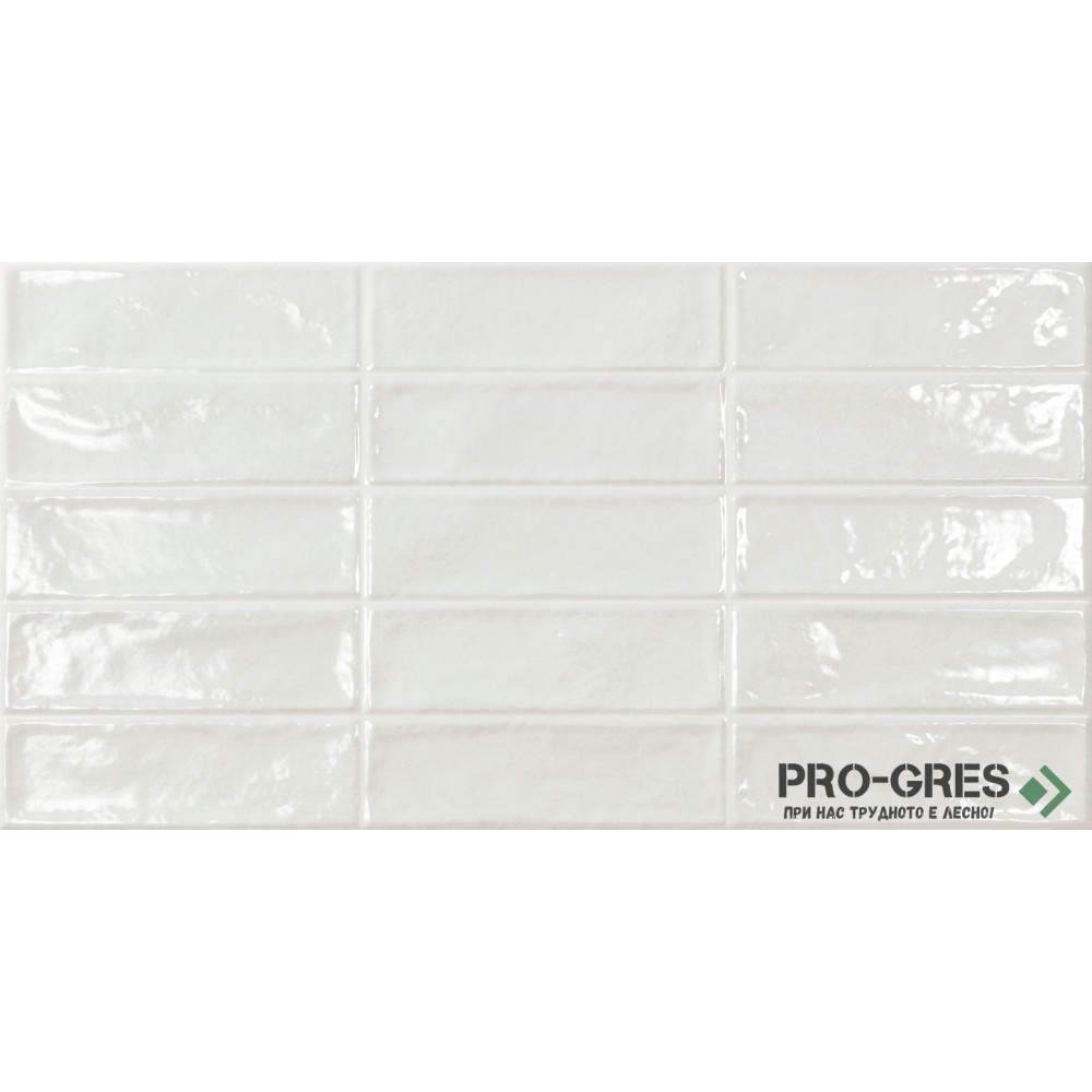 Фаянс Pool White Brillo 31.6×60 см