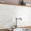 Плочки за баня Ecoceramic Pool 31.6×60 см