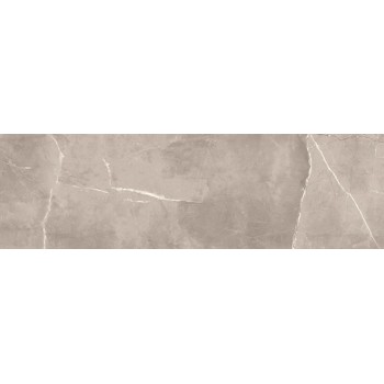 Плочки за баня EMOTION SLOW GRIS 25х75