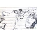 Фаянс Yura Pearl RLV  33.3×55