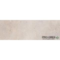 Фаянс Freedom Gris R  25х75см