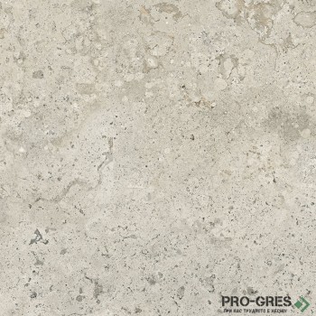 Гранитогрес BALTIMORE 5053  GREY RECT 50x50 