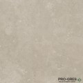 Гранитогрес ELBA 5068 ARENA RECT 50x50