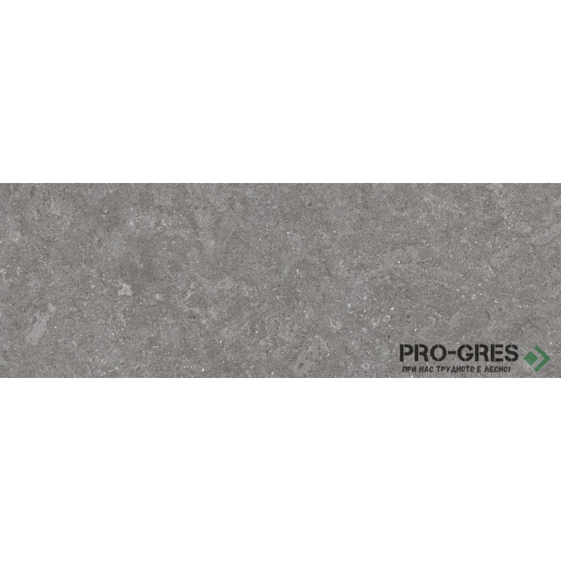 Фаянс Dover Grey 30x90 cm RC ROCERSA