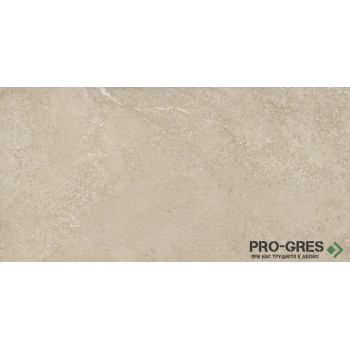 Гранитогрес калиброван , ARENITE NATURAL MT RECT 60/120,STN