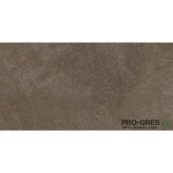 Фаянс Barbados Brown Mat STR 30.8×60.8 см Фаянс Barbados Brown Mat STR 30.8×60.8 см