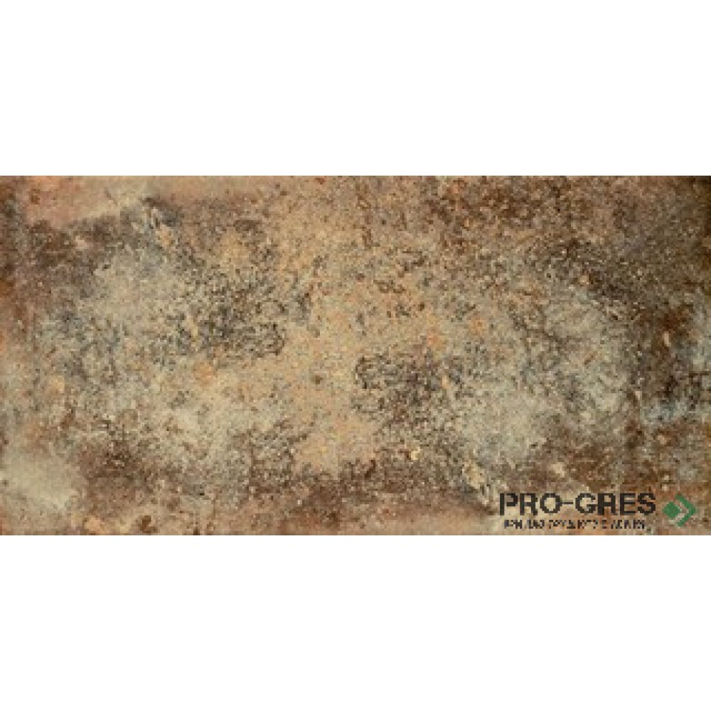 Фаянс Credo Brown 30.8×60.8 см