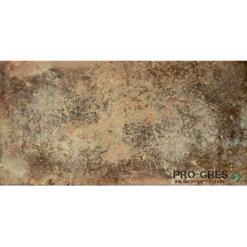 Фаянс Credo Brown 30.8×60.8 см
