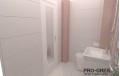 Проект Frame Rosa 30x90