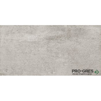Фаянс Tempre Graphite 30.8×60.8 см